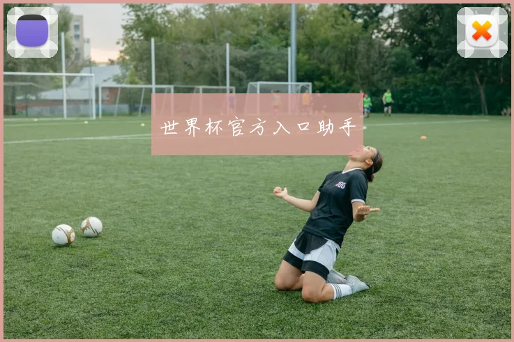 世界杯官方入口助手