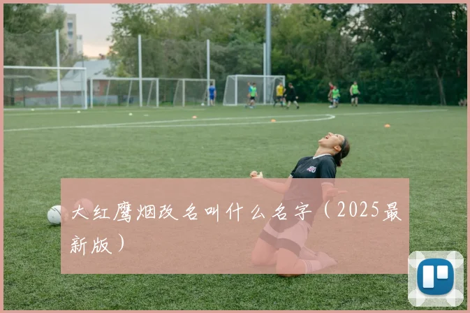 大红鹰烟改名叫什么名字（2025最新版）
