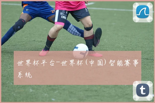 世界杯平台-世界杯(中国)智能赛事系统