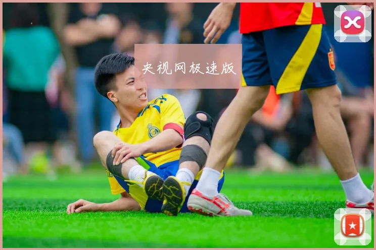 央视网极速版