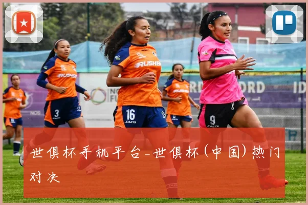世俱杯手机平台_世俱杯(中国)热门对决