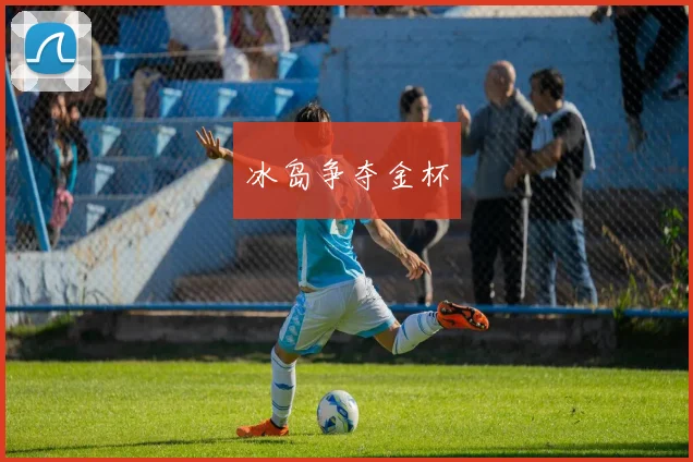 冰岛争夺金杯