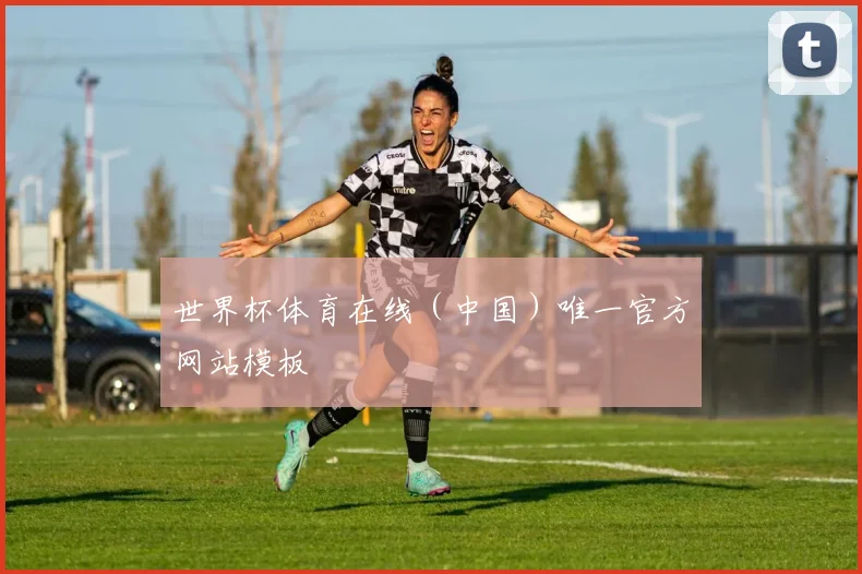 世界杯体育在线（中国）唯一官方网站模板