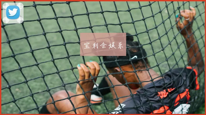 宝利会娱乐