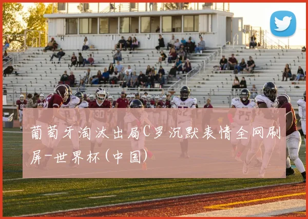 葡萄牙淘汰出局C罗沉默表情全网刷屏-世界杯(中国)