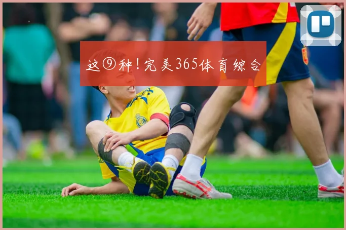 这⑨种!完美365体育综合