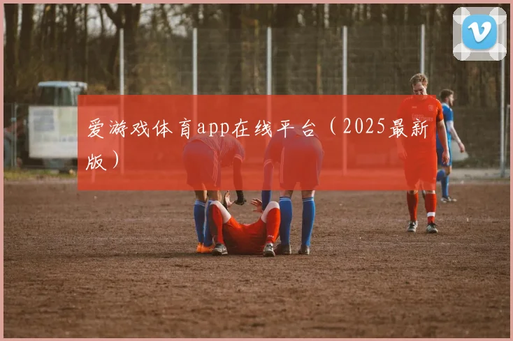 爱游戏体育app在线平台（2025最新版）