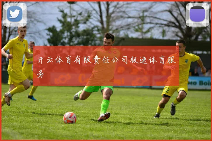 开云体育有限责任公司极速体育服务