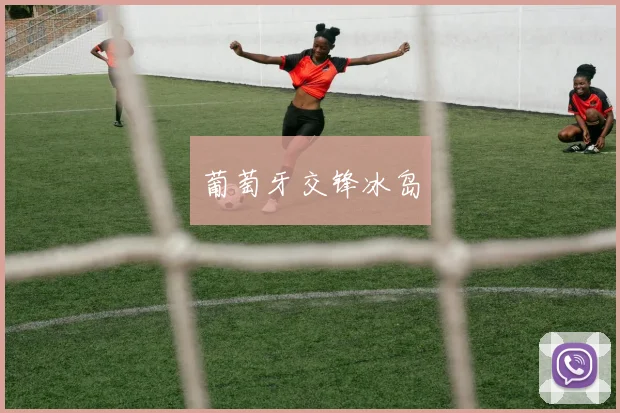 葡萄牙交锋冰岛