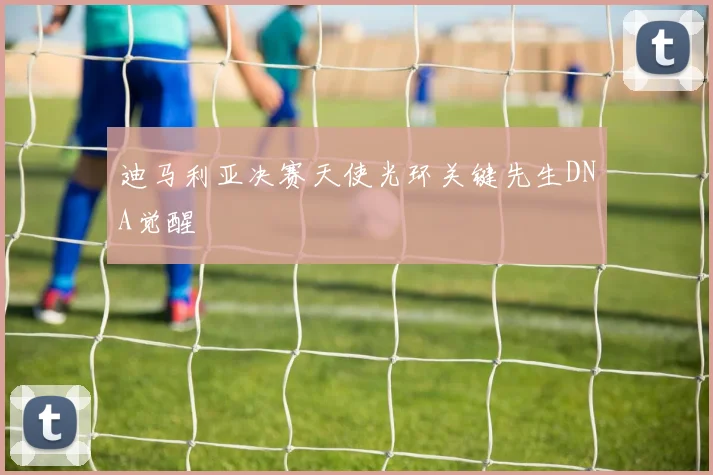 迪马利亚决赛天使光环关键先生DNA觉醒