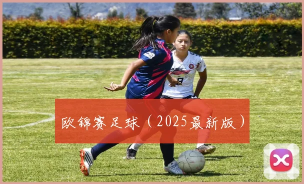 欧锦赛足球（2025最新版）
