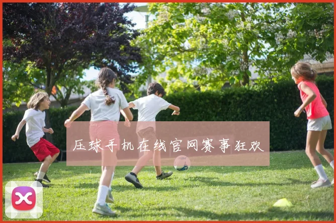 压球手机在线官网赛事狂欢