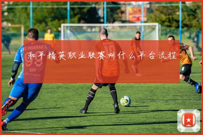 和平精英职业联赛叫什么平台流程