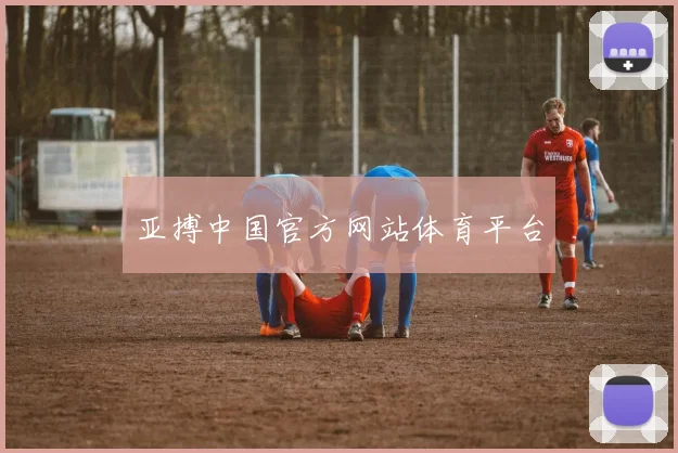 亚搏中国官方网站体育平台