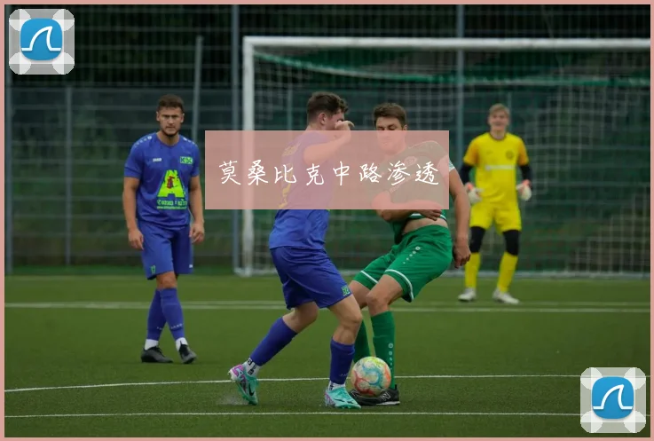 莫桑比克中路渗透