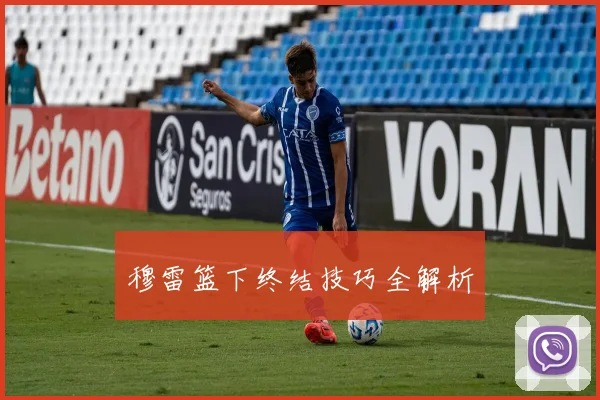 穆雷篮下终结技巧全解析