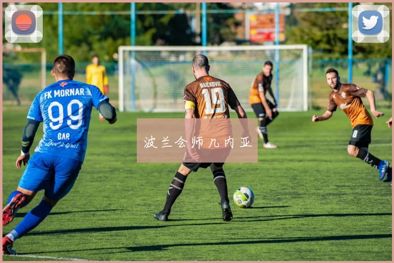 波兰会师几内亚
