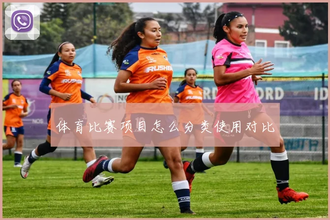 体育比赛项目怎么分类使用对比