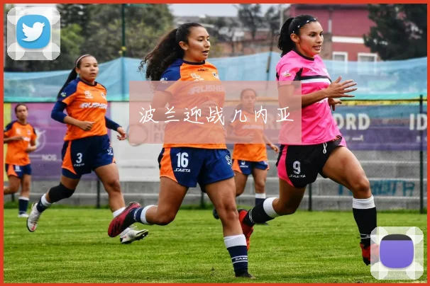 波兰迎战几内亚