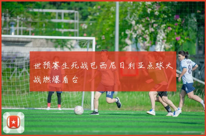 世预赛生死战巴西尼日利亚点球大战燃爆看台