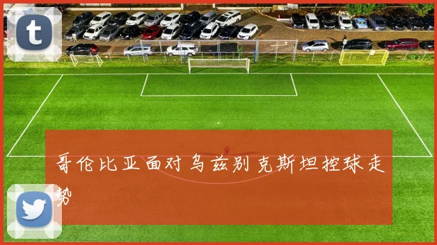 哥伦比亚面对乌兹别克斯坦控球走势