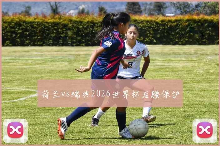 荷兰vs瑞典2026世界杯后腰保护
