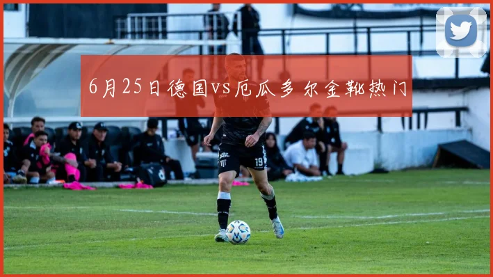6月25日德国vs厄瓜多尔金靴热门